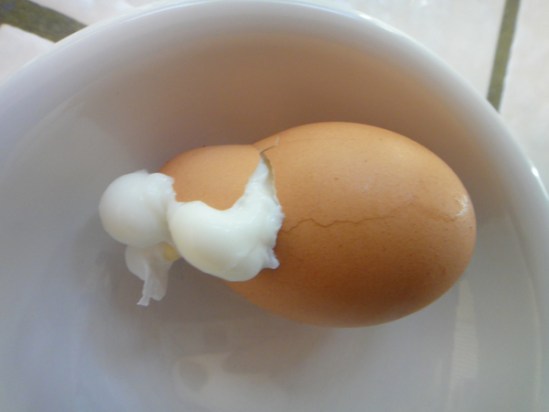 \"egg,